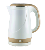 Flash voice electric kettle