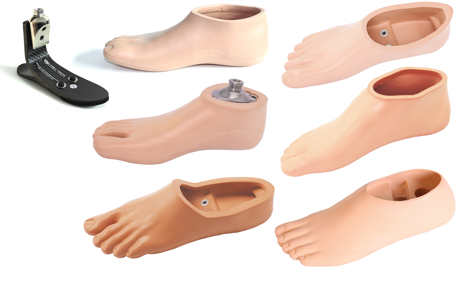 假肢腳、腳皮