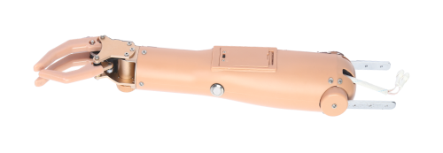 三指肘離斷肌電假肢        （二自由度）-